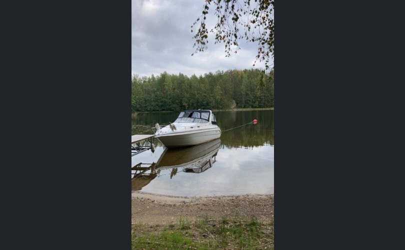 Wellcraft Martinique 2600-kuva-4